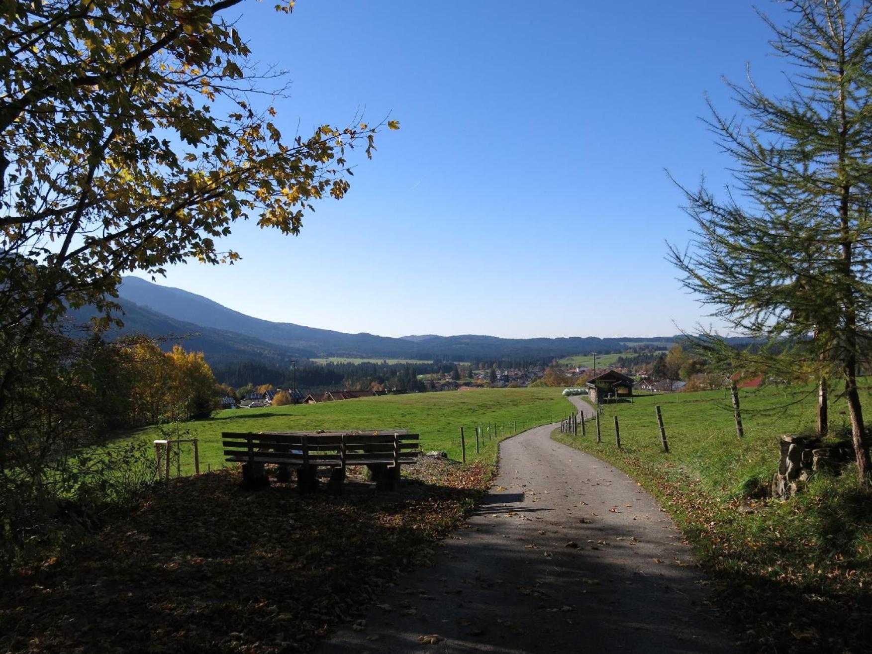 Apparthotel - Pension Ammertaler Hof Saulgrub Buitenkant foto