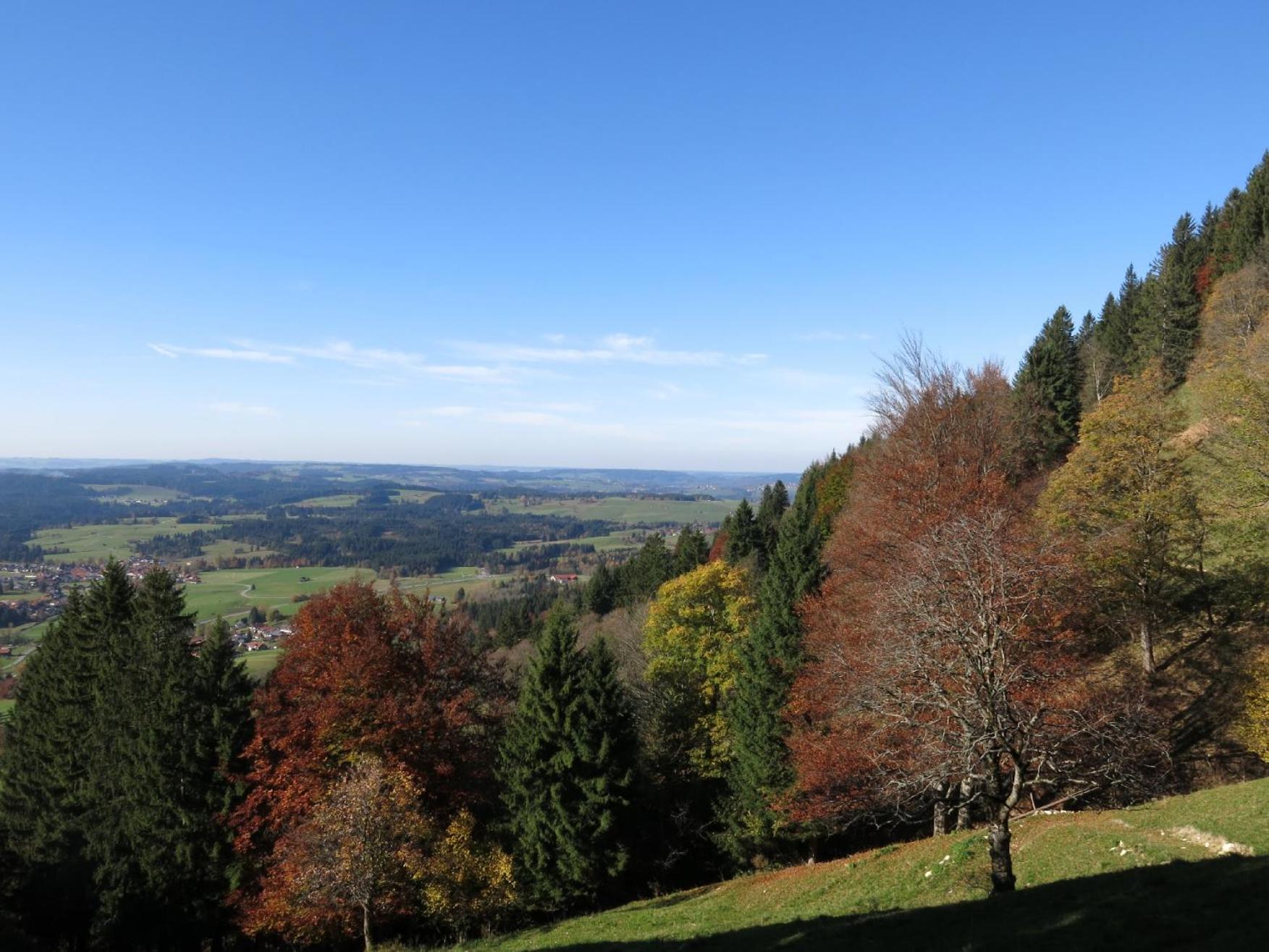 Apparthotel - Pension Ammertaler Hof Saulgrub Buitenkant foto